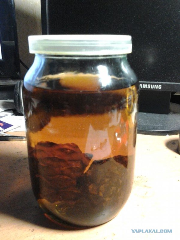 Давайте знакомиться