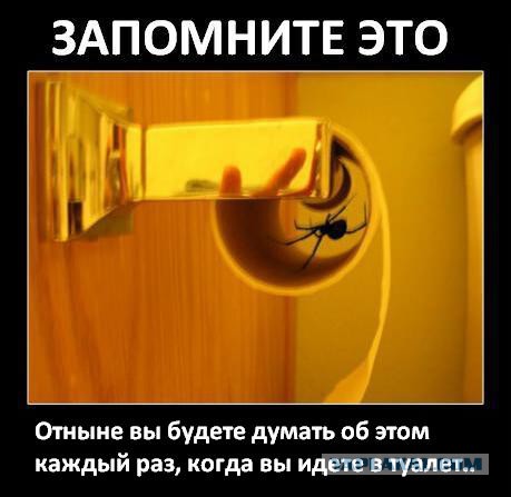 Я хочу сыграть с тобой в игру........