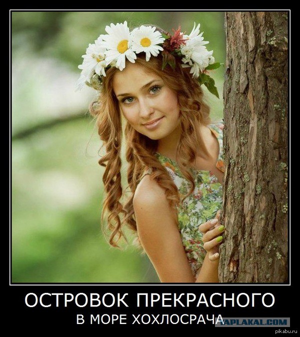 Добряки, плюсующие всех подряд