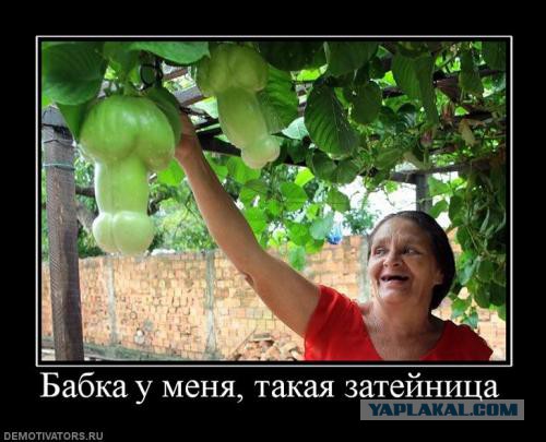 Добряки, плюсующие всех подряд