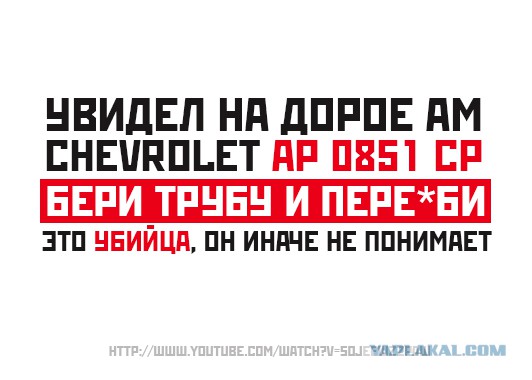 Сволочи забили медвежонка трубой