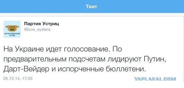 Выборы-2014: испорченные бюллетени