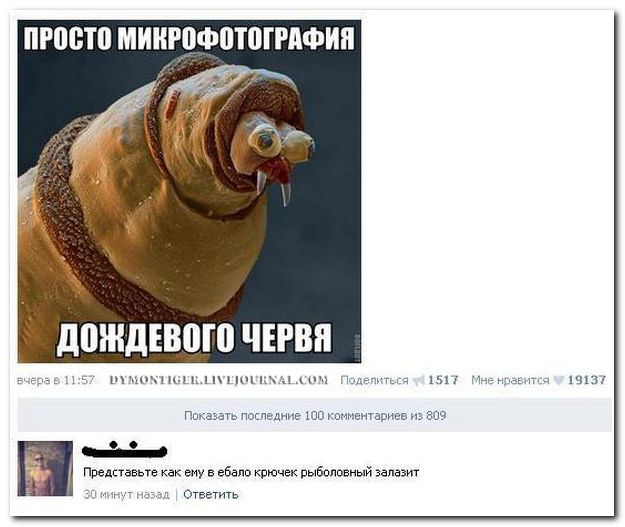 Комментарии из Соцсетей
