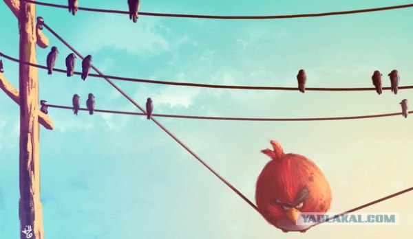 Angry Birds в реальной жизни