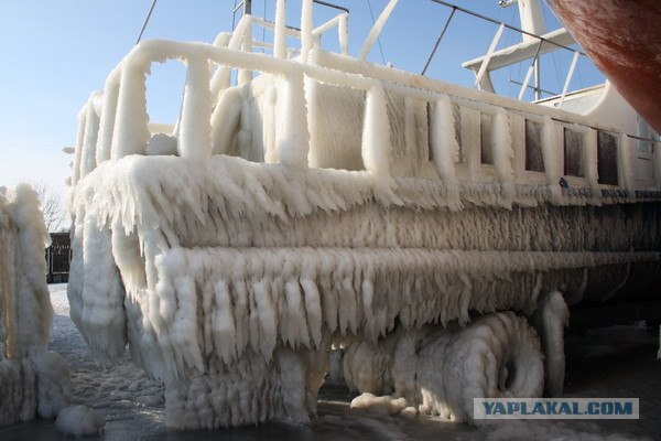 Скованная морозами