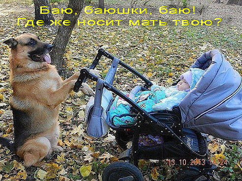 Забавные картинки из интернетов