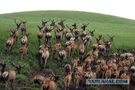 Фотографии, в которых очень сложно узнать Россию