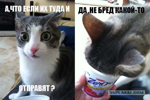 Три россиянки остаток жизни проведут на Марсе