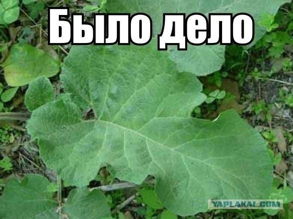 Картинок пачка