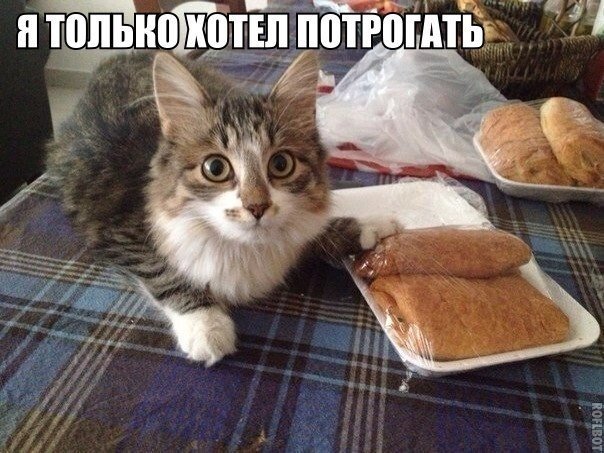 Обидели котейку? Получите, распишитесь!