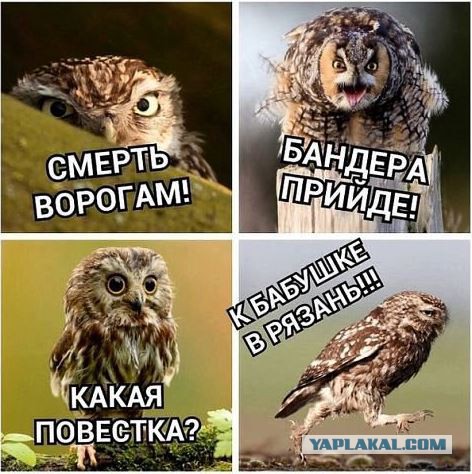 Отлов призывников в Харькове