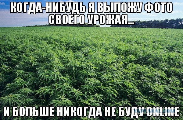 Смешные комментарии 26.07.2015