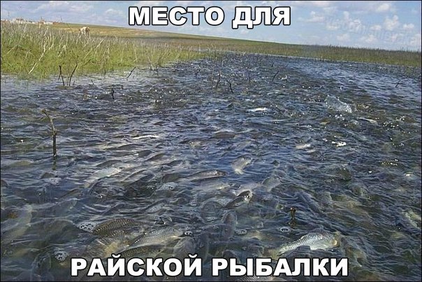 Картинки на среду.