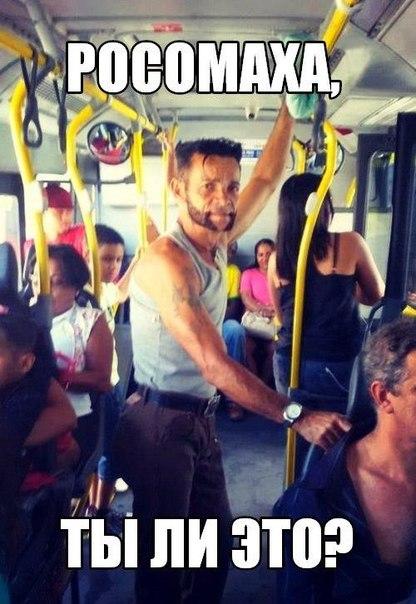 Очередные картинки на субботу