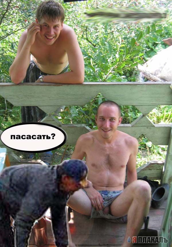 Фотожаба: ползун