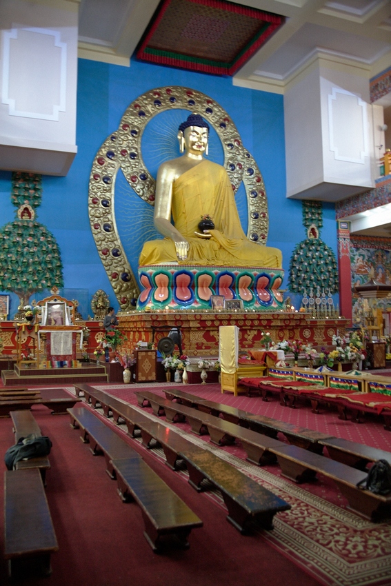 В Элисте борца из Дагестана заставили извиниться за Будду