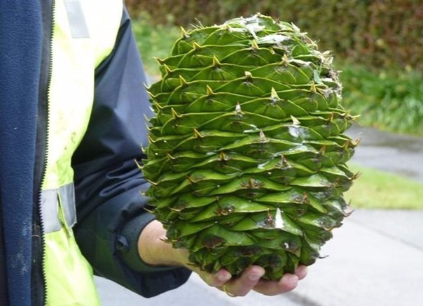 Подборка картинок