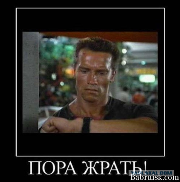 А я все жру и жру