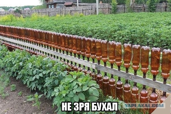 "Лига алкоголиков" продолжает прием граждан в свои ряды