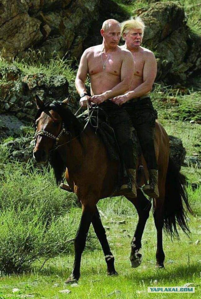 Все делают посты про Трампа, а я что  рыжий, что ли