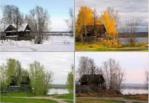 Картинки с сети