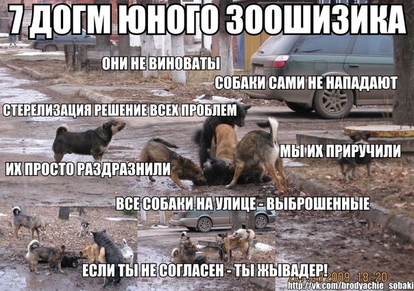 Живодер убил собаку
