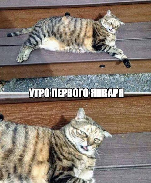 Подборка разного из сети