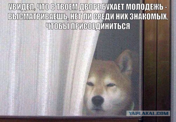 Веселые картинки и не только!