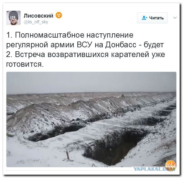 Храбрые живут вечно: в Сербии появился граффити-портрет Гиви