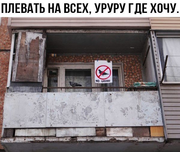 Картинки всякие разные