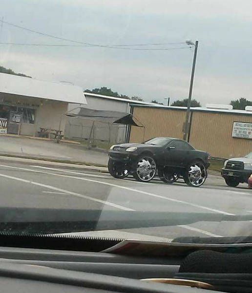 Подборка безудержного веселья