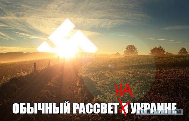 Не очень светлый и абсурдный юмор