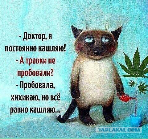 Поднимите себе настроение танцем девушки