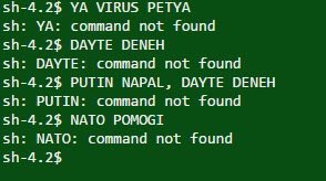 Здравствуй Petya