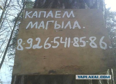 Уровень грамотности просто зашкаливает