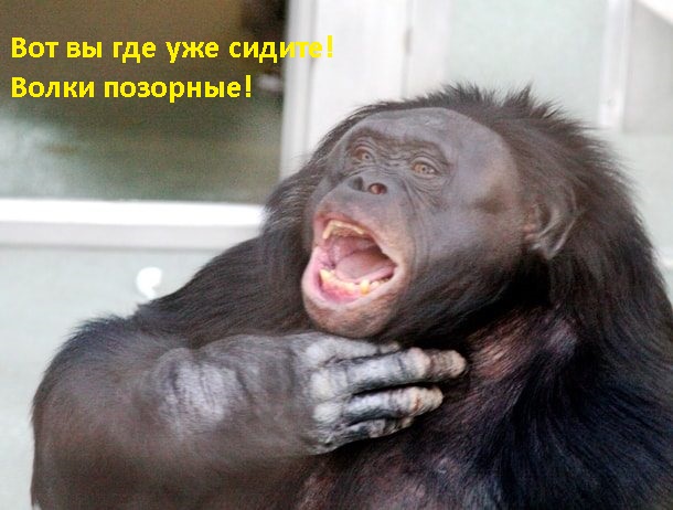 Великая княгиня Романова анонсировала переезд Императорского дома в Россию