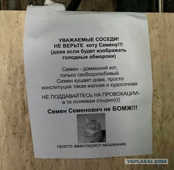 Как я спас почти умирающую, бродячую таксу и чем этот прохвост мне отплатил