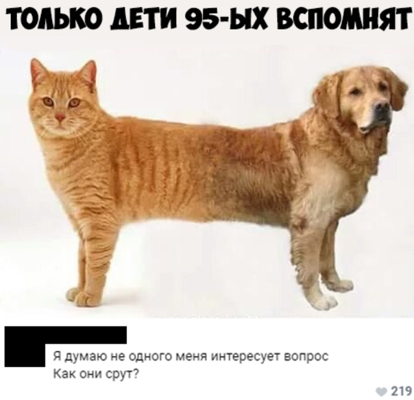 Смешные комментарии из социальных сетей 09.06.2018