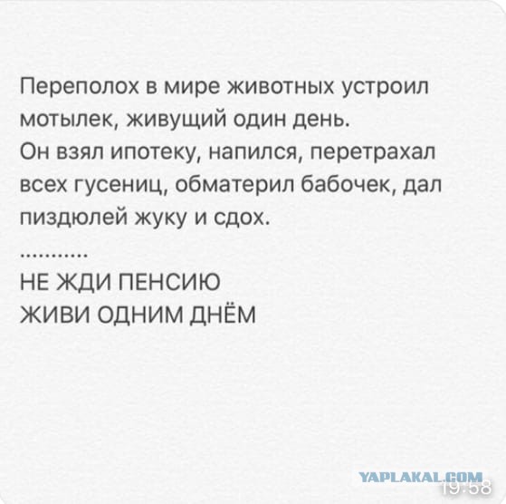 Прикольные комментарии и высказывания из Сети. 03. 10. 2018