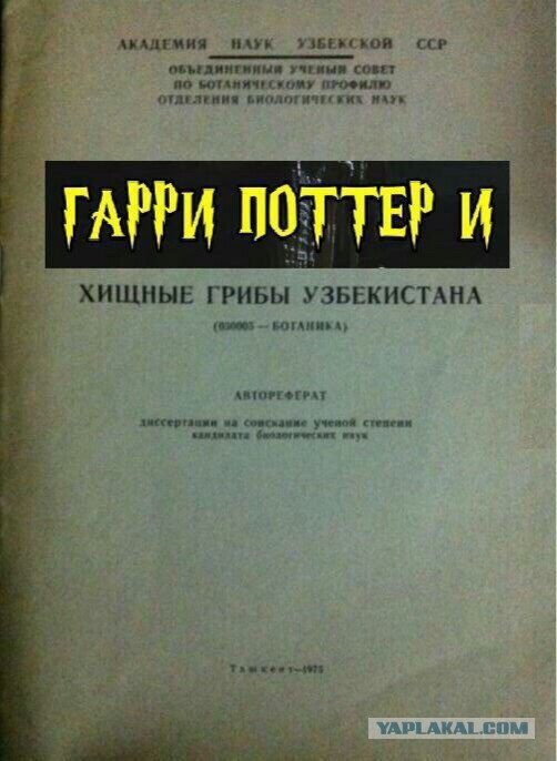 Картинок разных