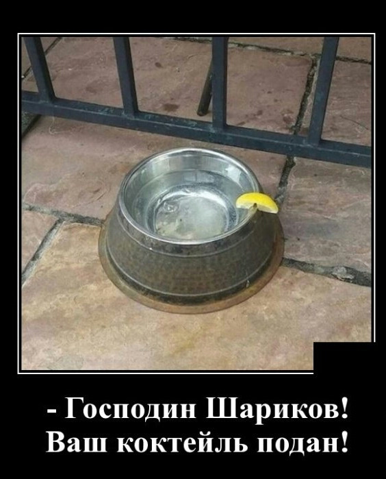 Просто картинки