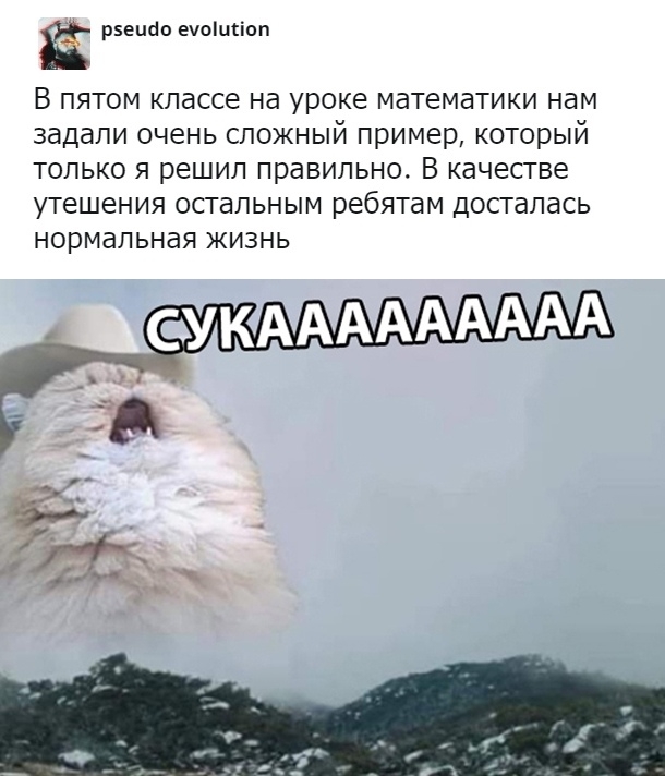 Немного картинок для настроения