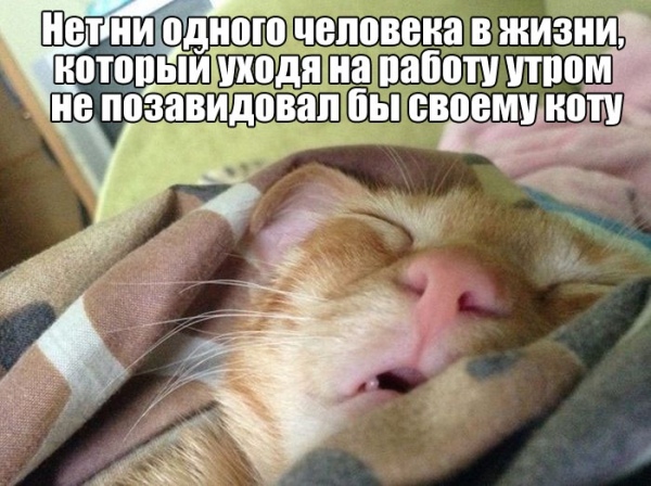 Немного картинок для настроения