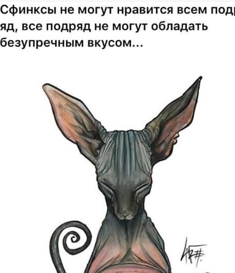 Ура! Лысовторник