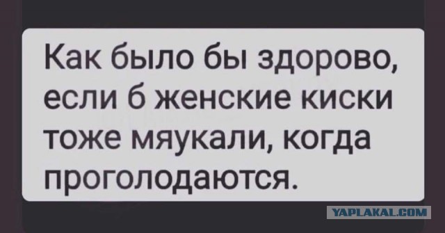 Немного картинок для настроения 02.04.20