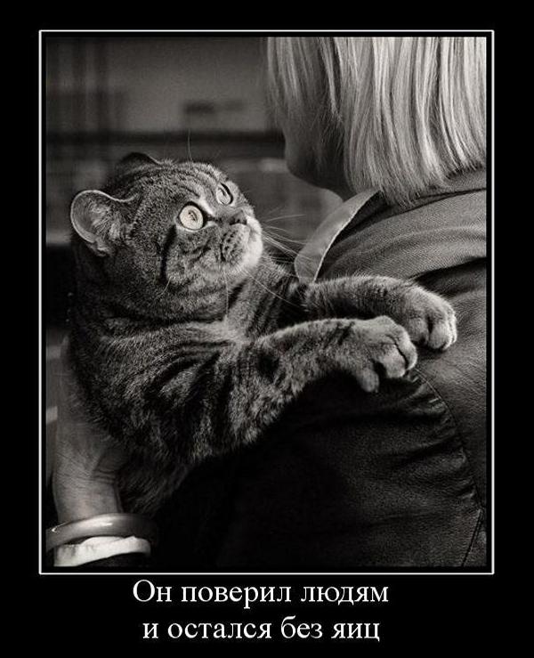 Бредзона 17.07.2020