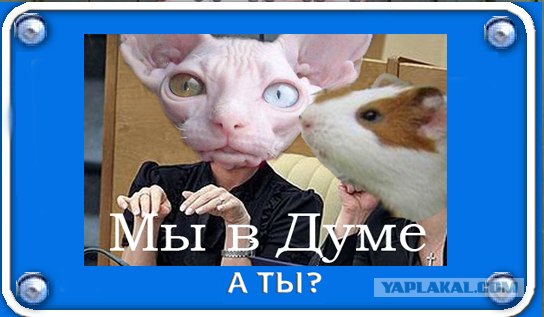 Фотожаба: Я Табличка