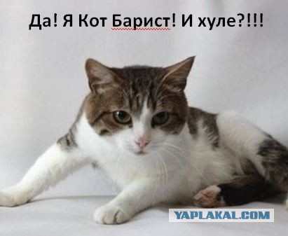 Он позаботится о том, чтобы ваш утренний кофе был идеальным