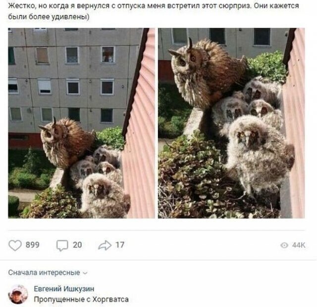 Картинки и мемы для настроения 13.04.2021