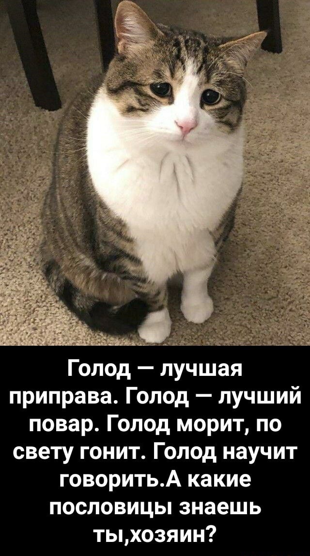 Так себе картинки 16.05.21